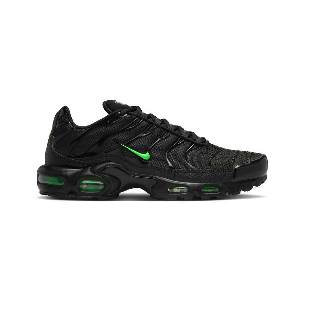 NIKE AIR MAX PLUS originales