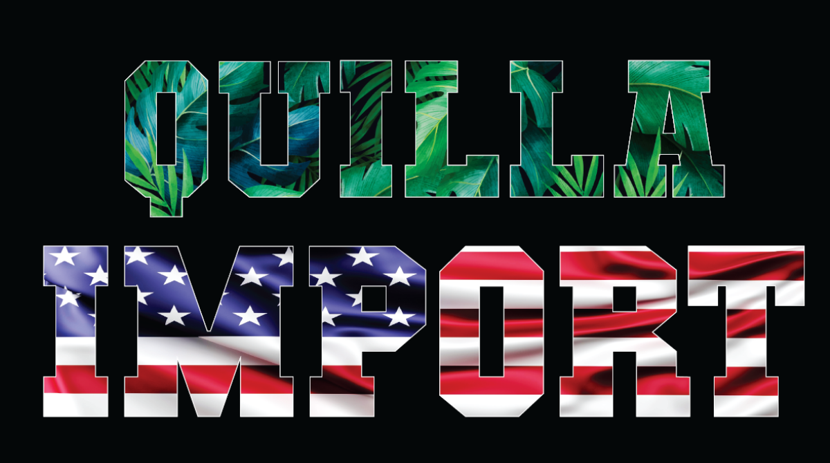 Logo QUILLA IMPORT 